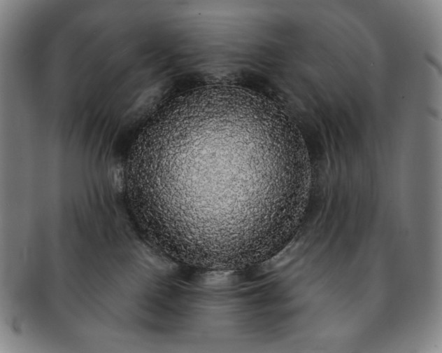 X0000091200090200708231540