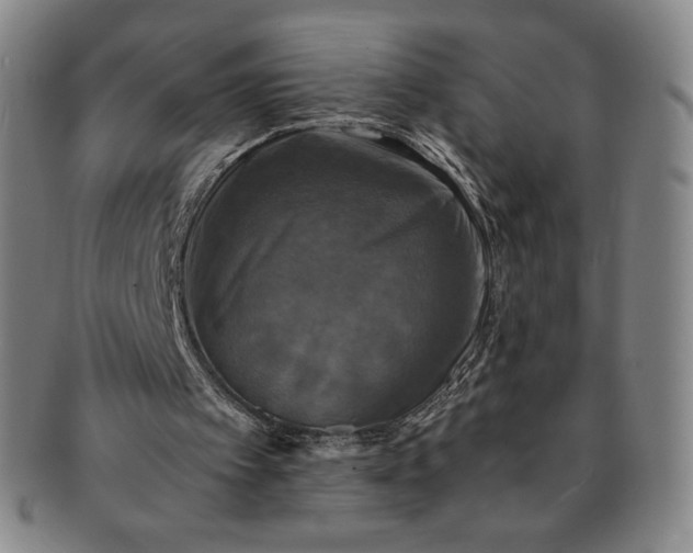 X0000091200097200708231539