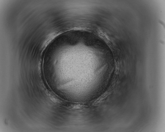 X0000091200098200708231539