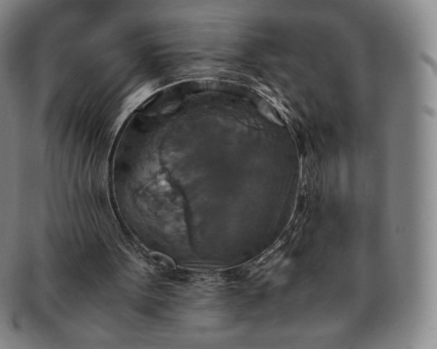 X0000091200099200708231539
