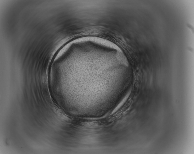 X0000091200100200708231539