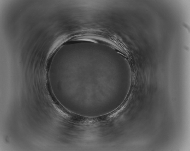X0000091200101200708231539