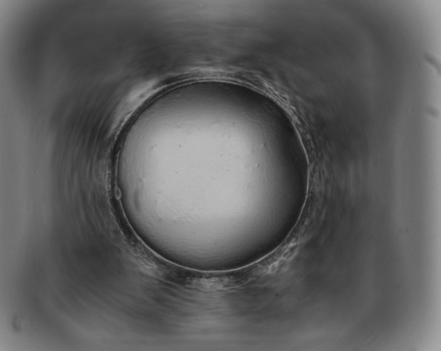 X0000091200103200708231539