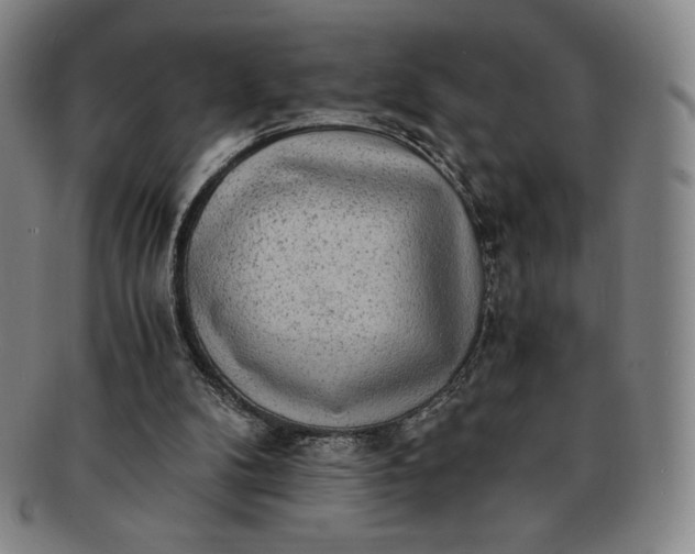 X0000091200104200708231539