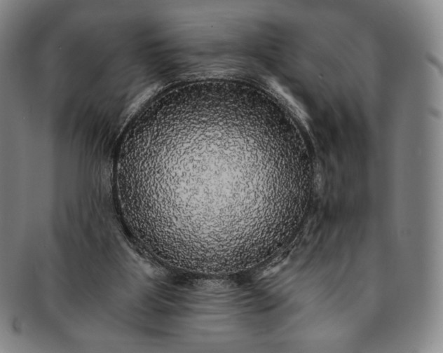 X0000091200107200708231539