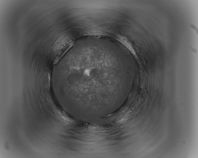 X0000091200109200708231539