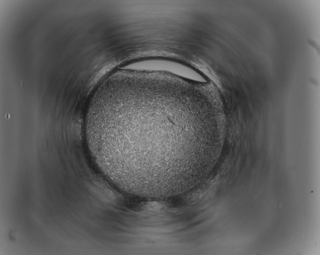X0000091200111200708231539