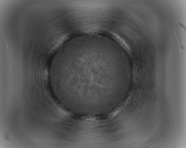 X0000091200113200708231539