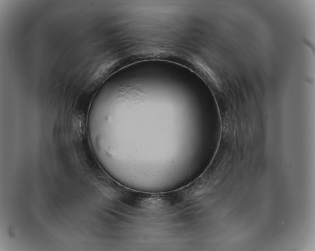X0000091200119200708231539