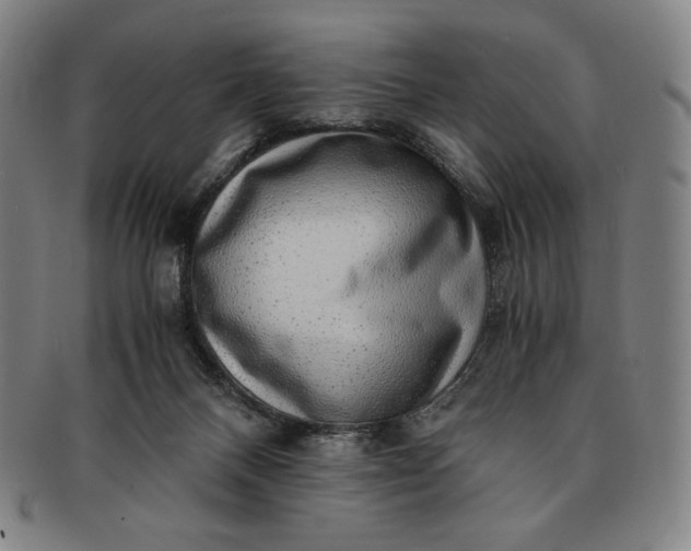 X0000091200120200708231539