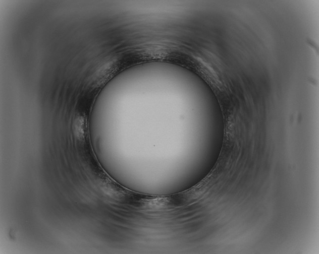 X0000091200122200708231539