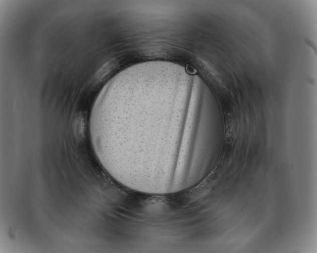 X0000091200124200708231539