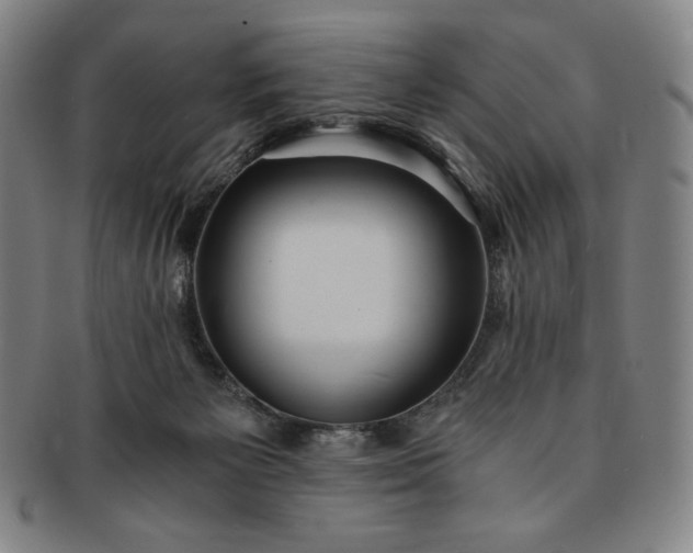 X0000091200125200708231539