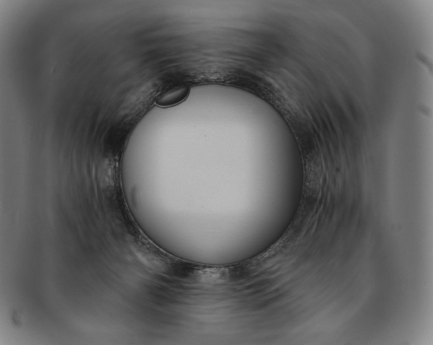 X0000091200126200708231539