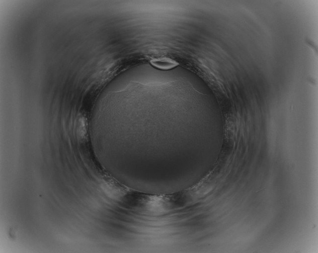 X0000091200130200708231539