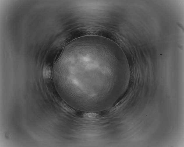 X0000091200137200708231539
