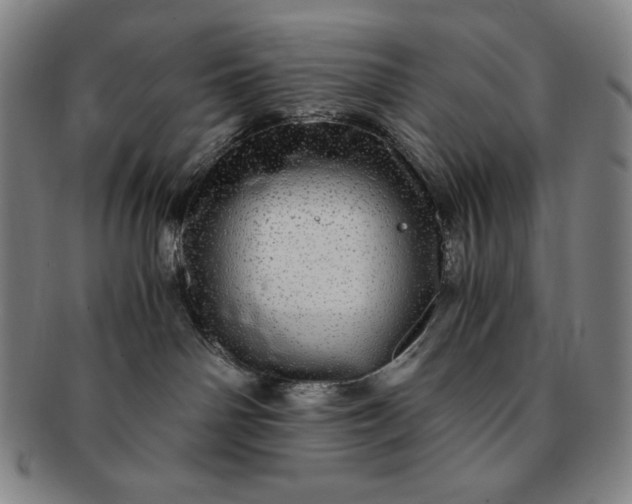 X0000091200142200708231539