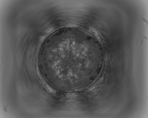 X0000091200145200708231538