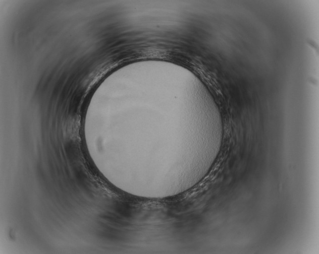 X0000091200146200708231538