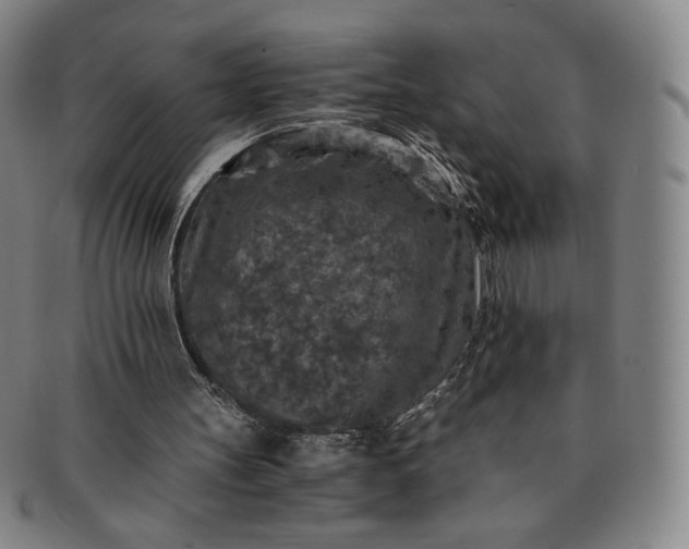 X0000091200147200708231538