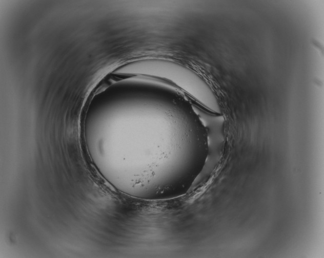 X0000091200148200708231538
