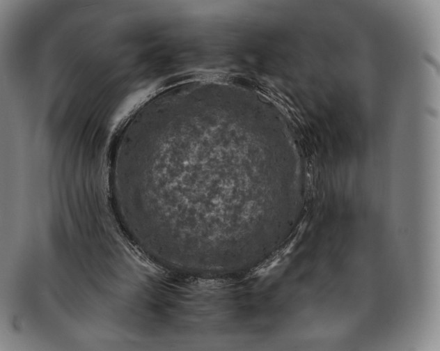 X0000091200149200708231538