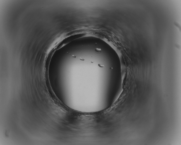 X0000091200150200708231538