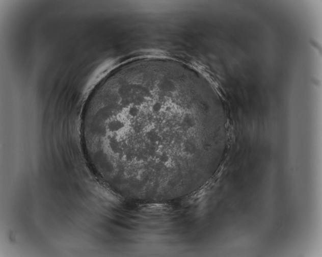 X0000091200151200708231538
