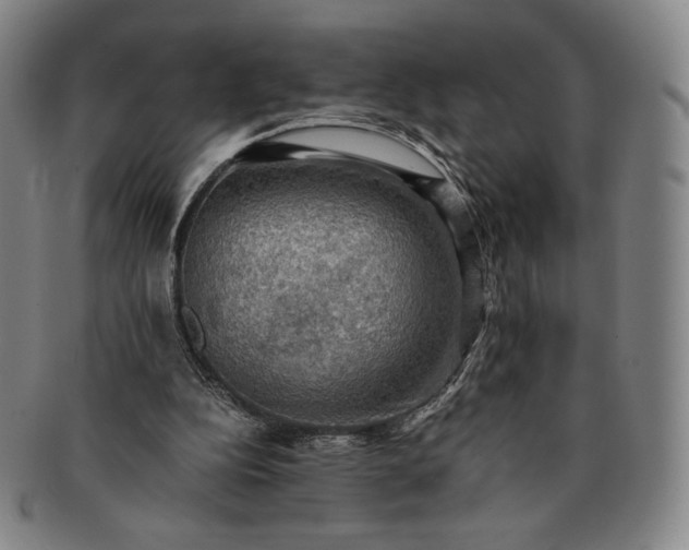 X0000091200152200708231538