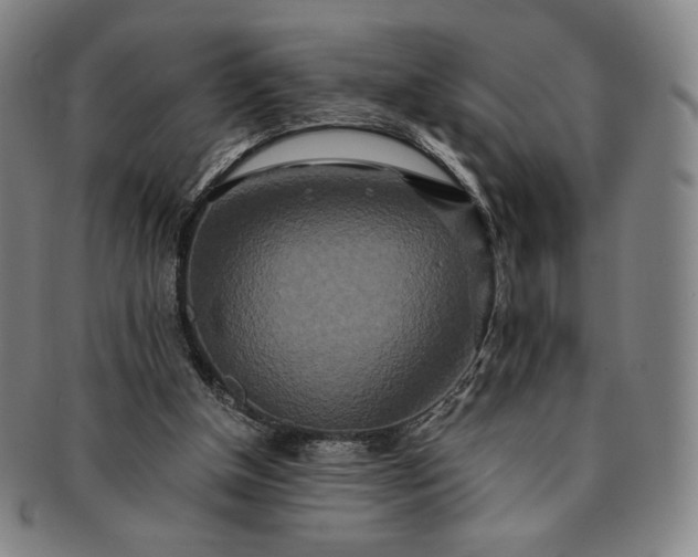 X0000091200154200708231538