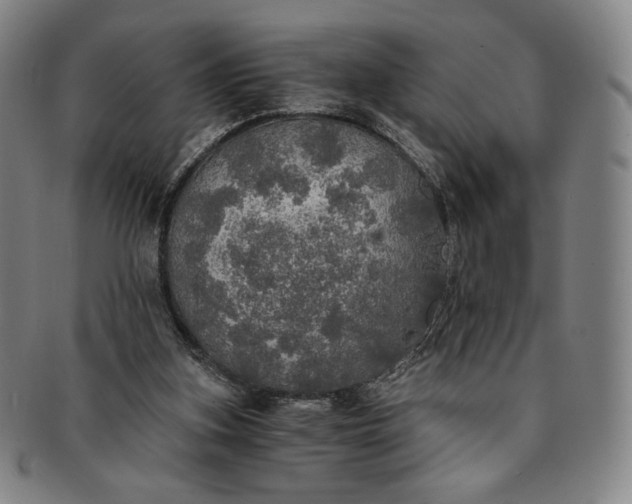 X0000091200155200708231538