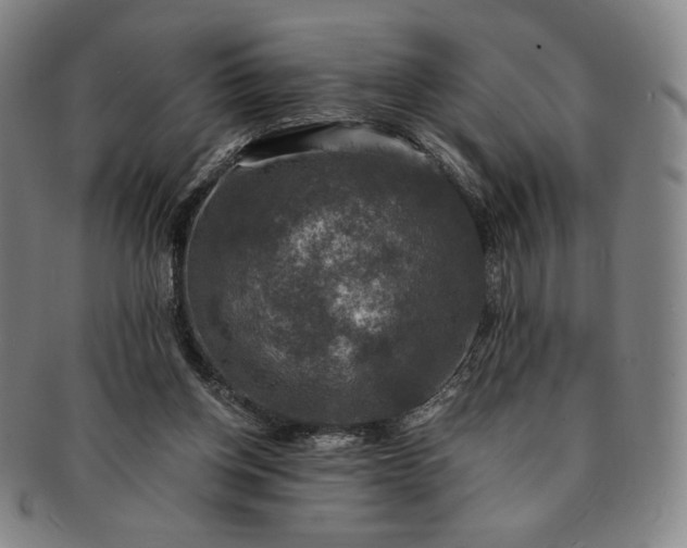 X0000091200158200708231538