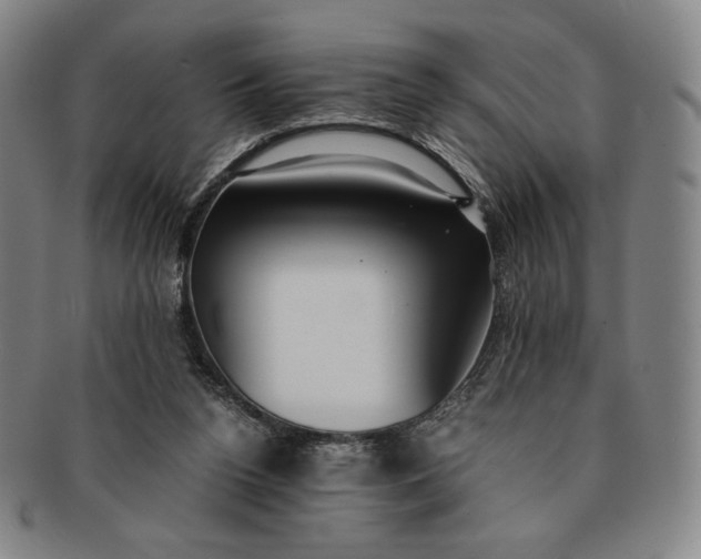 X0000091200160200708231538