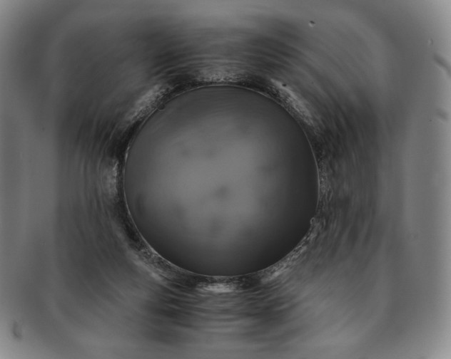 X0000091200163200708231538
