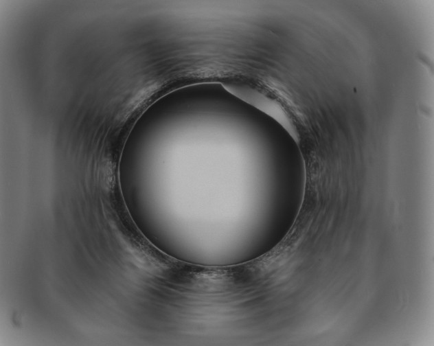 X0000091200164200708231538
