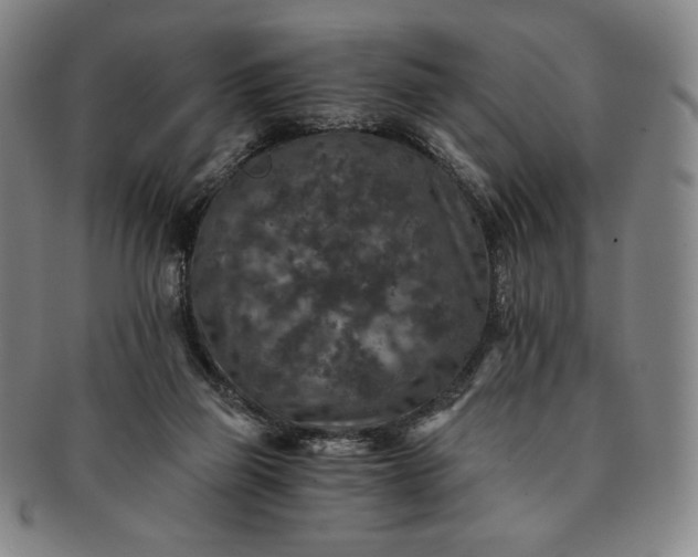 X0000091200165200708231538
