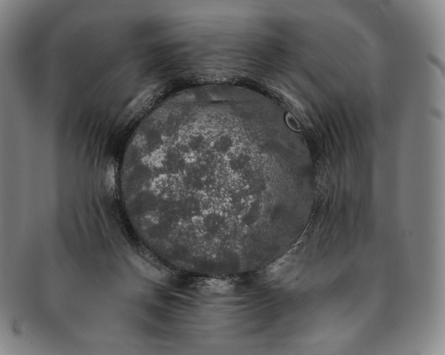 X0000091200166200708231538