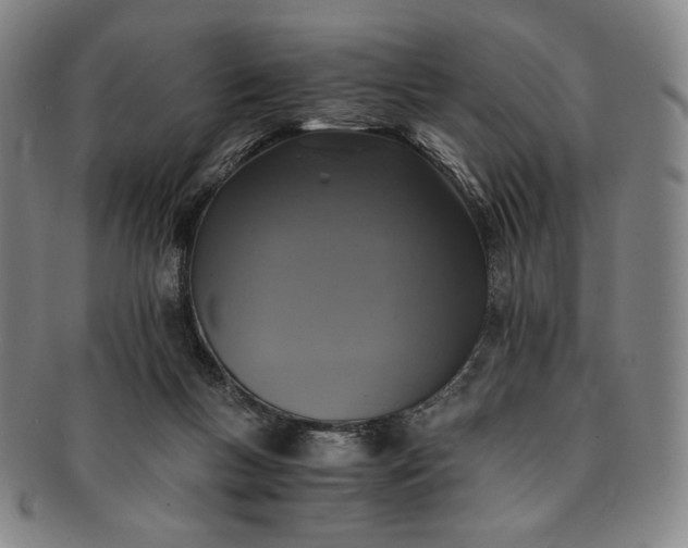 X0000091200167200708231538