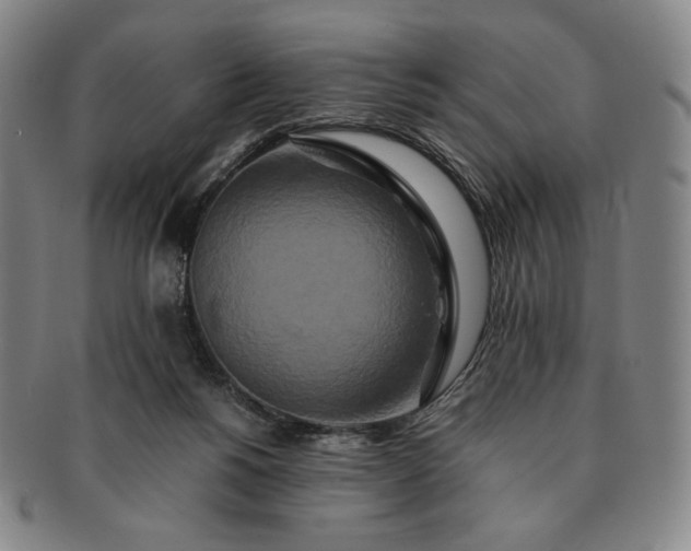 X0000091200168200708231538