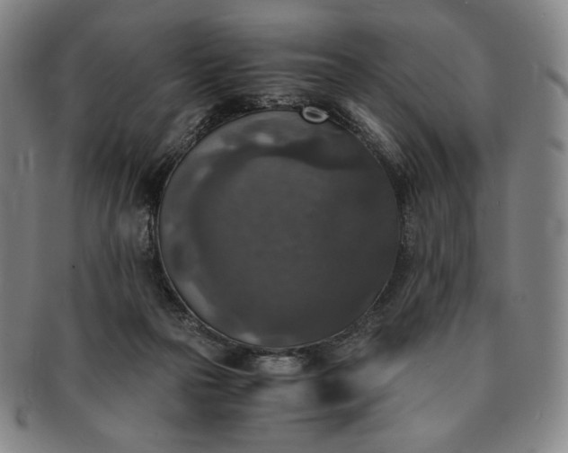 X0000091200169200708231538