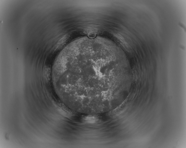 X0000091200171200708231538