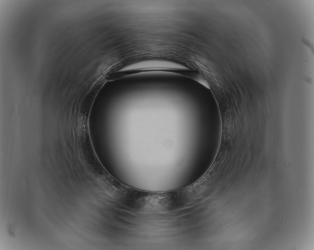 X0000091200172200708231538