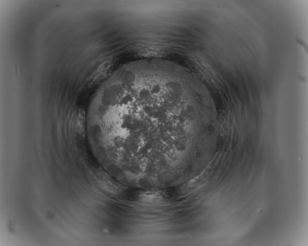 X0000091200175200708231538