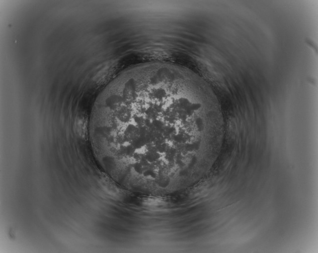 X0000091200177200708231538