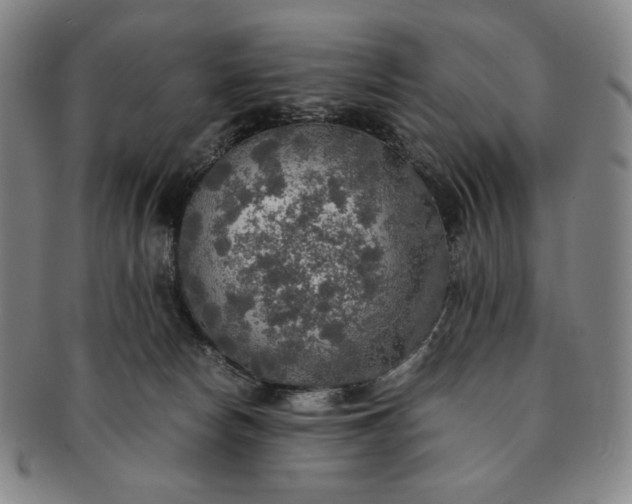 X0000091200178200708231538