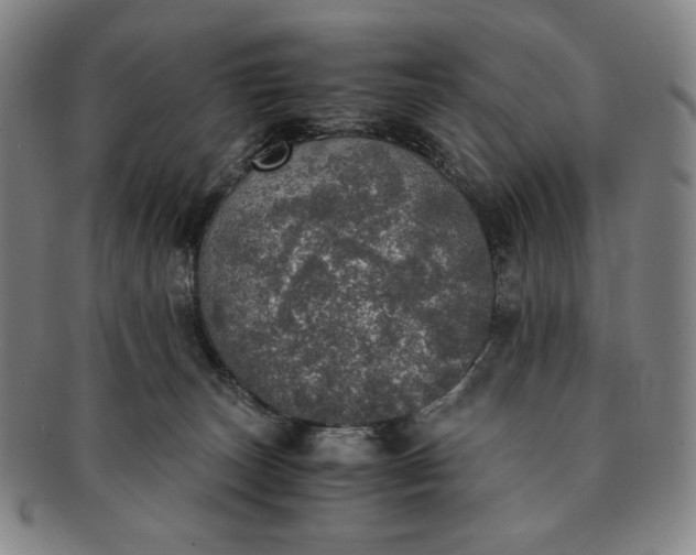 X0000091200179200708231538