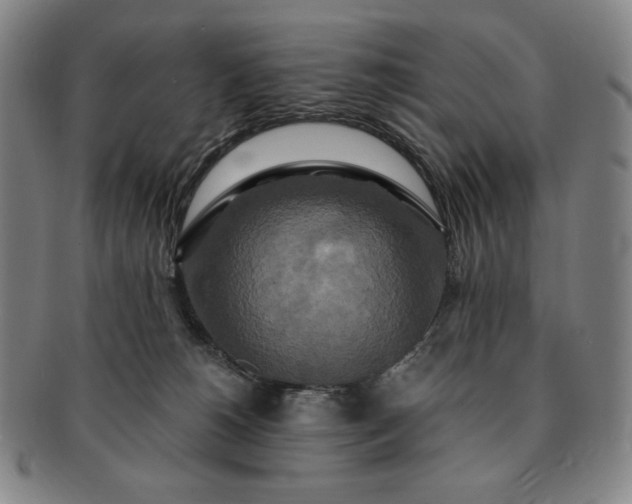 X0000091200180200708231538