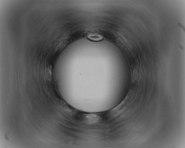 X0000091200183200708231538