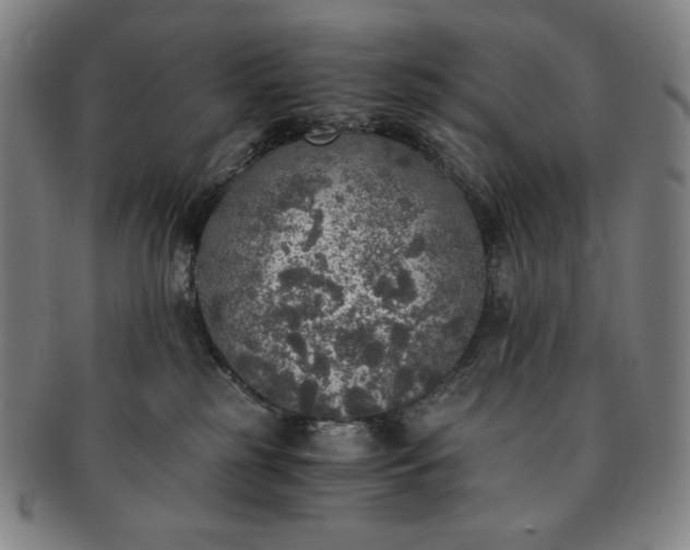 X0000091200185200708231538