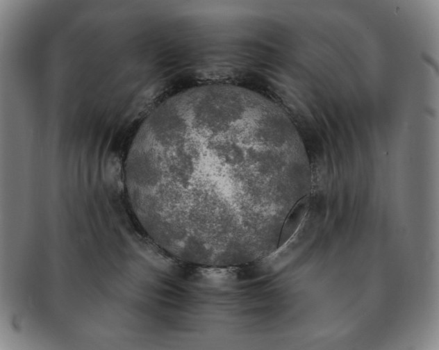 X0000091200187200708231538